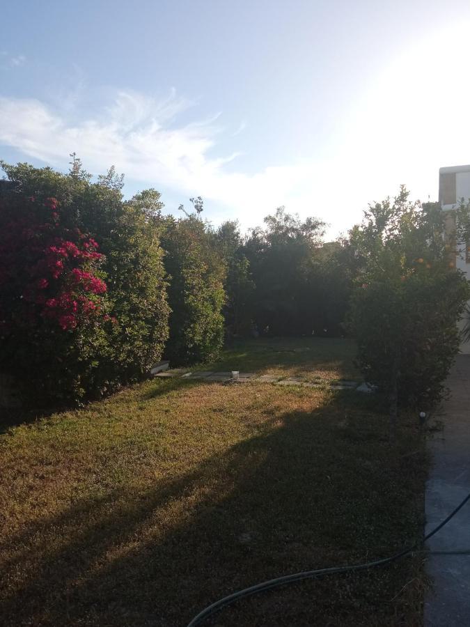 Atheneon Rhodes Apartment Theológos Екстериор снимка
